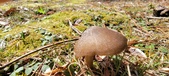 Enlarge photo 50