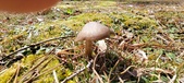 Enlarge photo 51