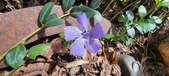 Enlarge photo 57