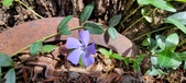 Enlarge photo 58