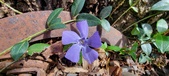 Enlarge photo 59