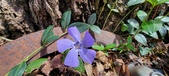 Enlarge photo 60
