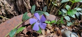 Enlarge photo 61