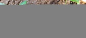 Enlarge photo 63