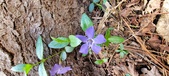 Enlarge photo 66