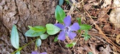 Enlarge photo 65