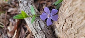 Enlarge photo 74