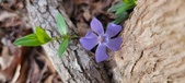 Enlarge photo 77