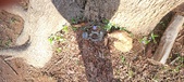 Enlarge photo 80