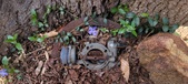 Enlarge photo 81