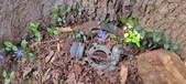 Enlarge photo 82
