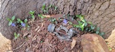 Enlarge photo 84