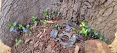 Enlarge photo 83
