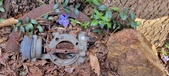 Enlarge photo 87