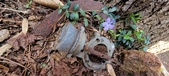 Enlarge photo 88
