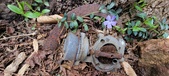 Enlarge photo 89