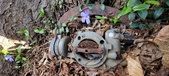 Enlarge photo 90