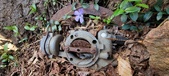 Enlarge photo 92