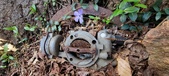 Enlarge photo 93