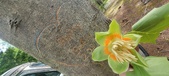 Enlarge photo 300