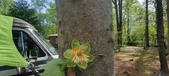 Enlarge photo 299