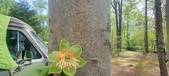 Enlarge photo 298