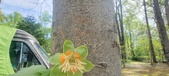 Enlarge photo 297