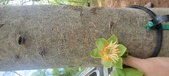 Enlarge photo 294