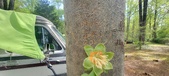 Enlarge photo 293