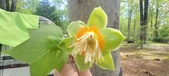 Enlarge photo 292