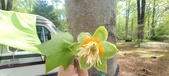 Enlarge photo 291