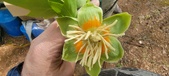 Enlarge photo 288