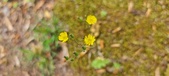 Enlarge photo 272