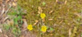 Enlarge photo 268