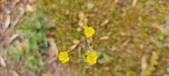 Enlarge photo 269