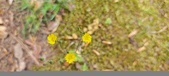 Enlarge photo 278