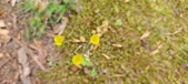 Enlarge photo 267