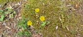 Enlarge photo 266