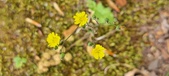 Enlarge photo 263