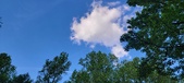 Enlarge photo 239