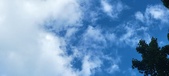 Enlarge photo 237