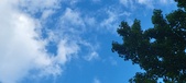 Enlarge photo 235