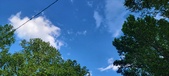 Enlarge photo 238