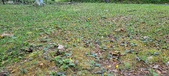 Enlarge photo 233