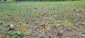 Enlarge photo 236