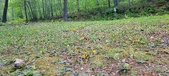 Enlarge photo 234