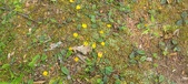 Enlarge photo 230