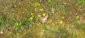 Enlarge photo 232