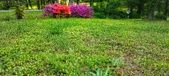 Enlarge photo 222