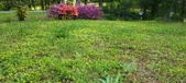 Enlarge photo 228